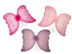 Kaper Kidz Price For One Butterfly Wing 40X29Cm Randomly Pick