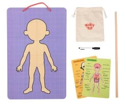 Tooky Toy Magnetic Body Chart -KidKraft Store E01 TH842 2